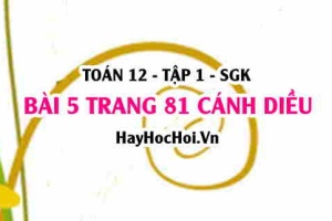 Bài 5 trang 81 Toán 12 tập 1 Cánh Diều